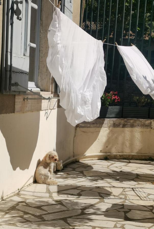 Maison De L'Aguze Saint-Pons-de-Thomieres Bagian luar foto